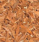 Yohimbe bark contains about 6% yohimbine